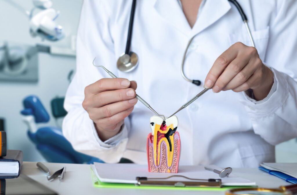 A dentist demonstrates how a tooth with a cavity is prepared for the filling using a dental model.
